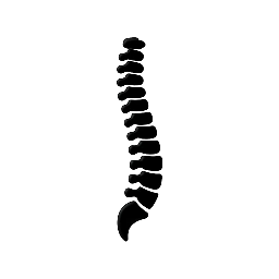 Poor Posture Macomb – Dr. Chris McNeil